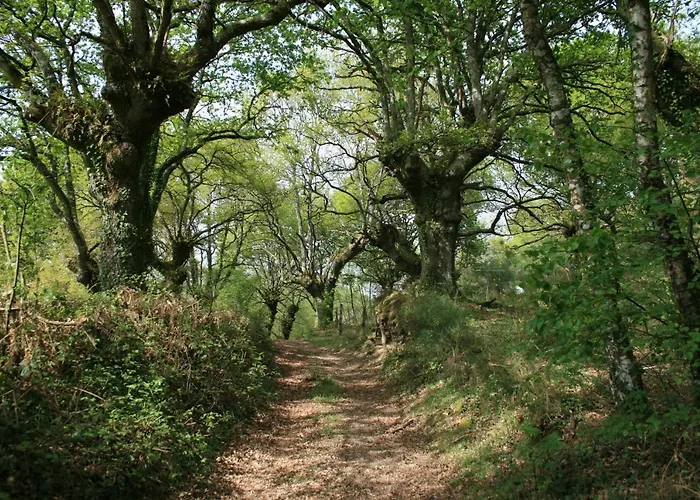Casa Morgade Pensjonat Sarria
